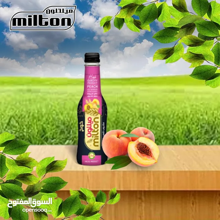 متوفر مشروب شعير ميلتون الاصلي جميع النكهات عروض خاصه للكميات  Original Milton barley drink is avail