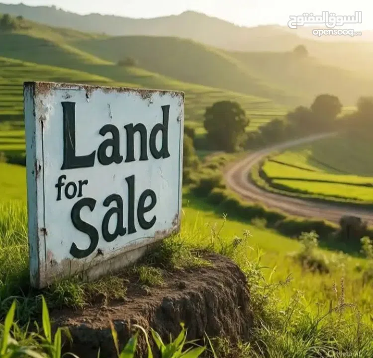 ارض كوشان مستقل تصنيف A  اطلالة رائعة في اجمل اراضي الناقورة قرب نابلس