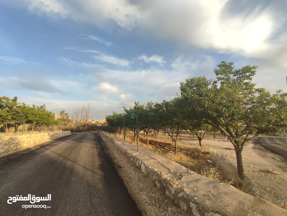 أرض 750 م للبيع في ناعور - أبو الغزلان- 5 كم عن كازية السلام