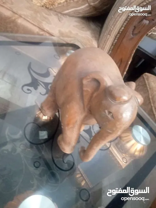 مناظر حيوانات للبيع بسعر مغري