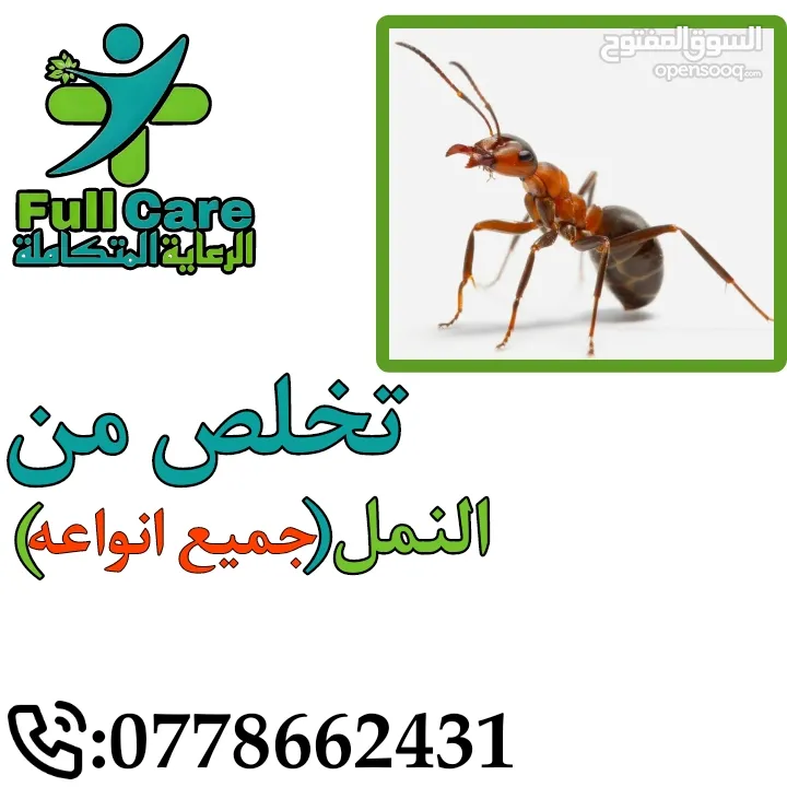 شركة full Care لمكافحة الحشرات والقوارض