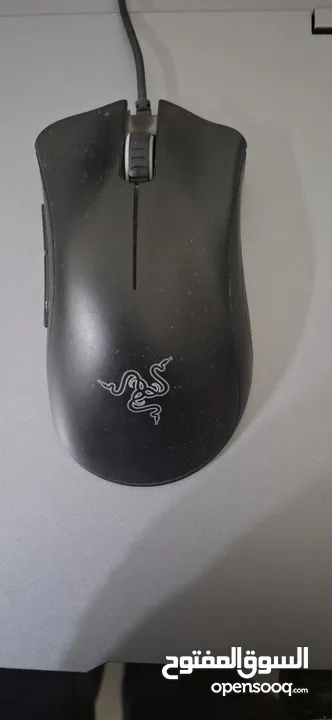 mouse razer deathadder essential ماوس ريزير ديثايدر اسينشيل