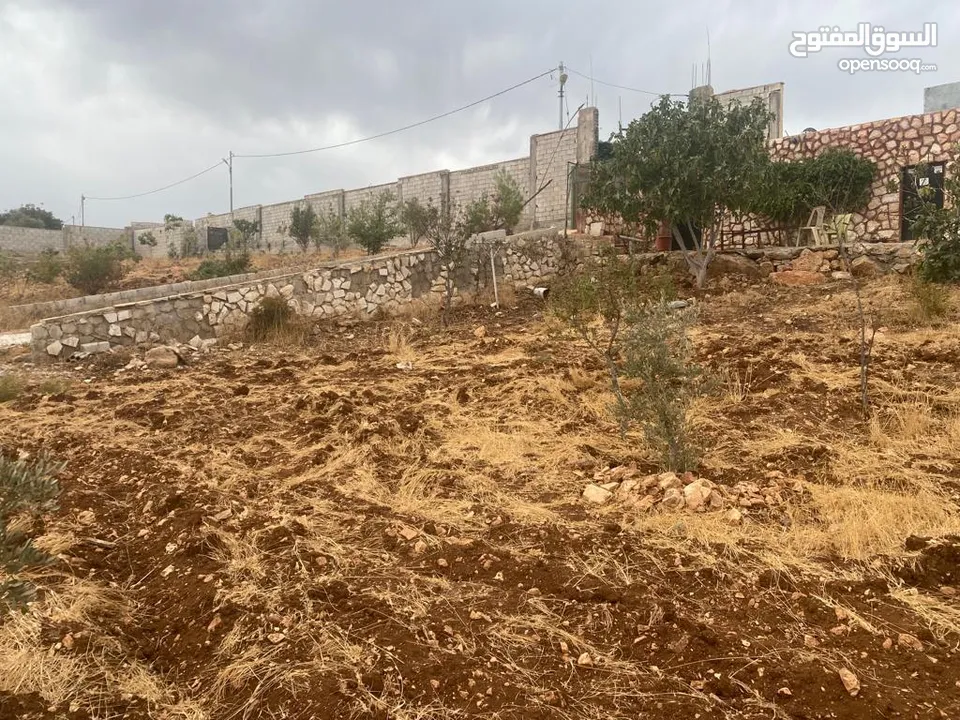 قفقفا 13 دنم منطقة مزارع وشاليهات وطبيعة خلابة مسيجة جدار حجر