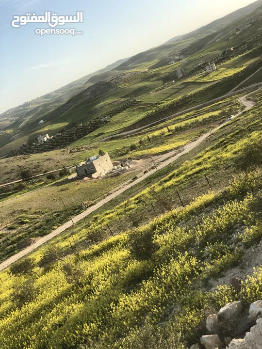 أرض بسعر مغري