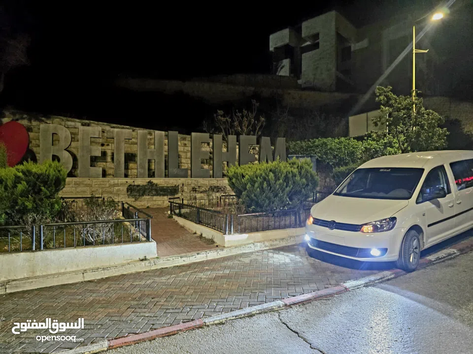 كادي شصي طويل