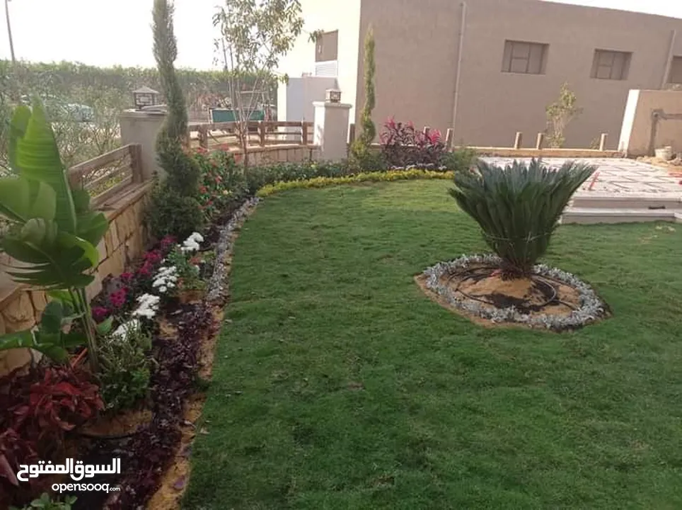 نجيل طبيعي بسبيلم بيور