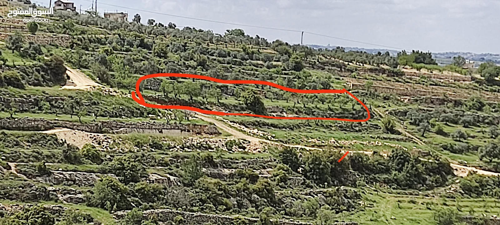 ارض بمساحة دونم