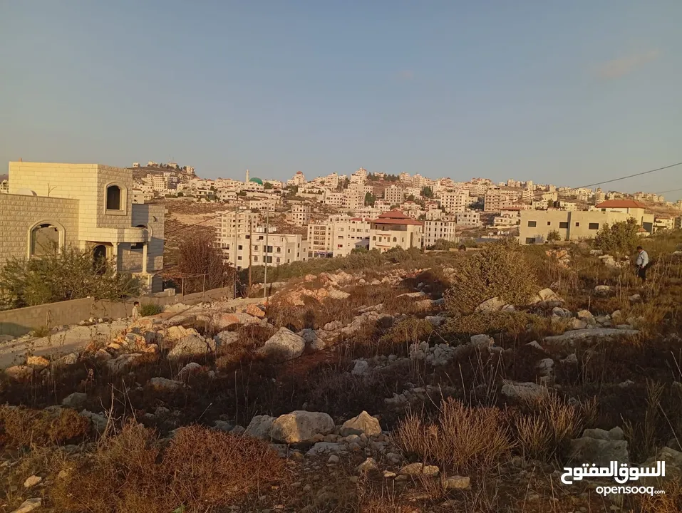 ارض في أرقى أحياء مدينة نابلس حي العمدان