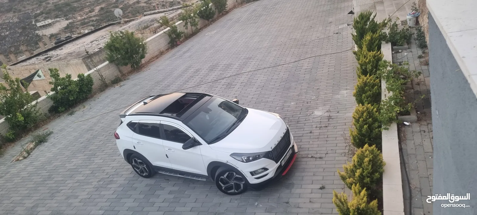 توسان 2019 فل الفل عداد قليل جيب نخب