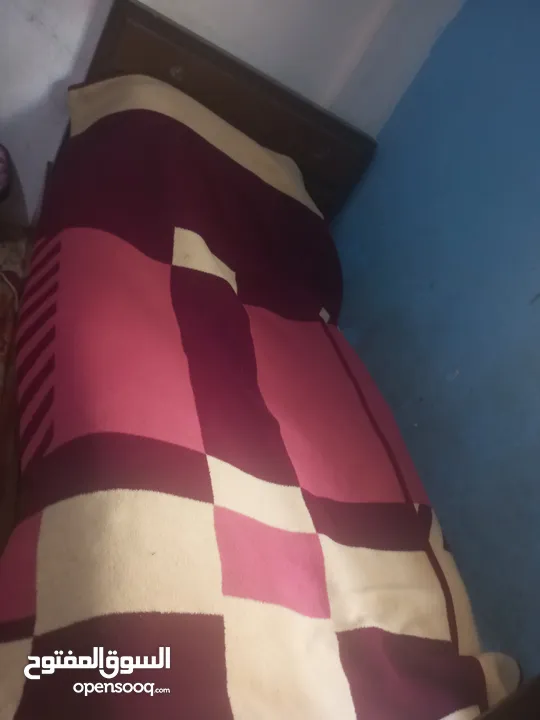 تخوت مفرد ونص