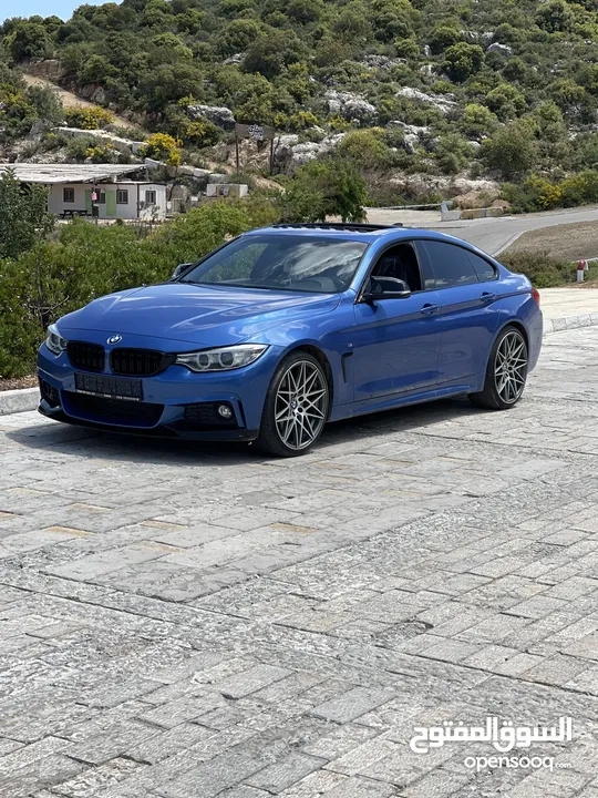 محمد حلمي محمود