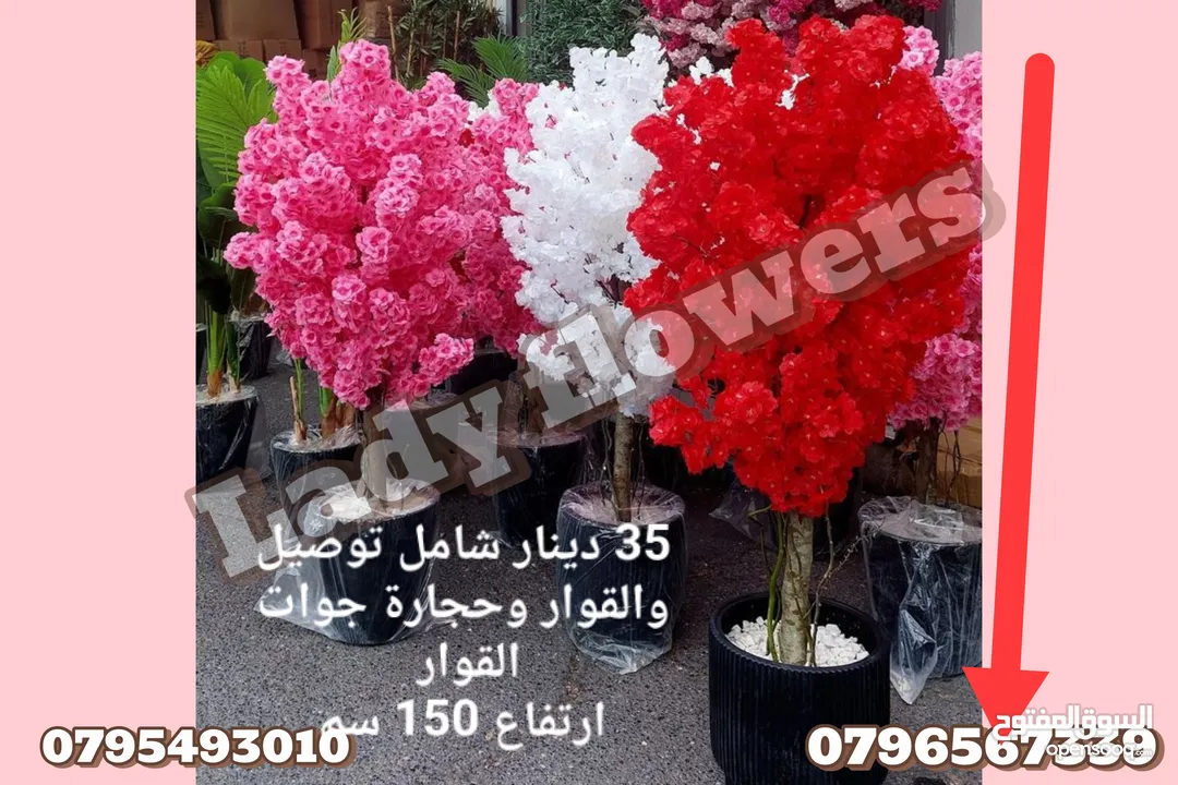 شجر اللوز الصناعي اقرب للطبيعي نيلي ابيض زهر