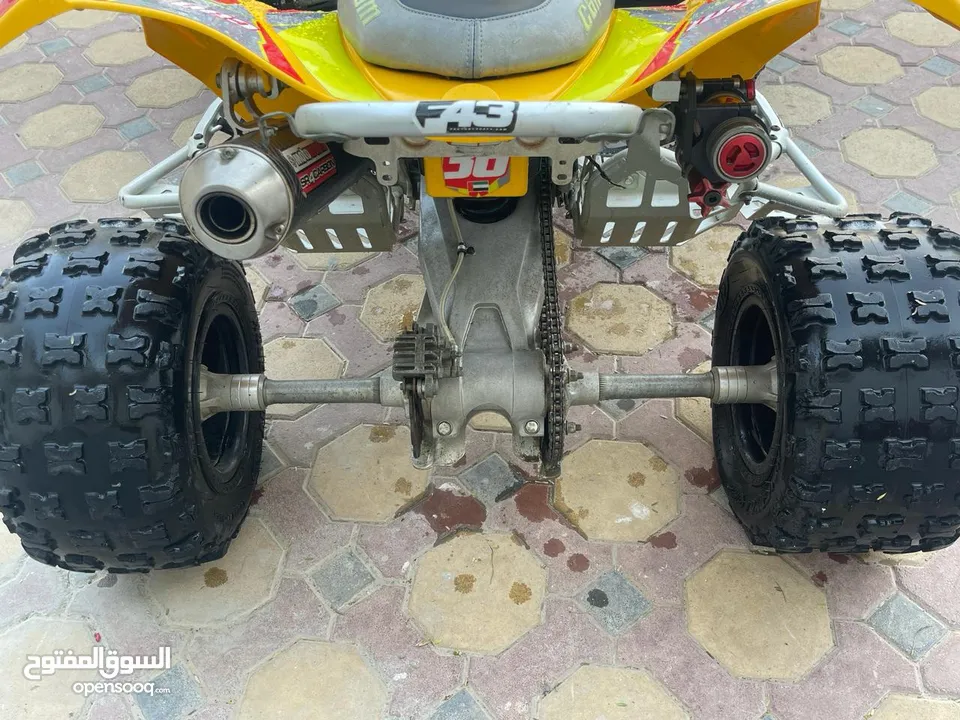 Can-am 450 ds (mx)