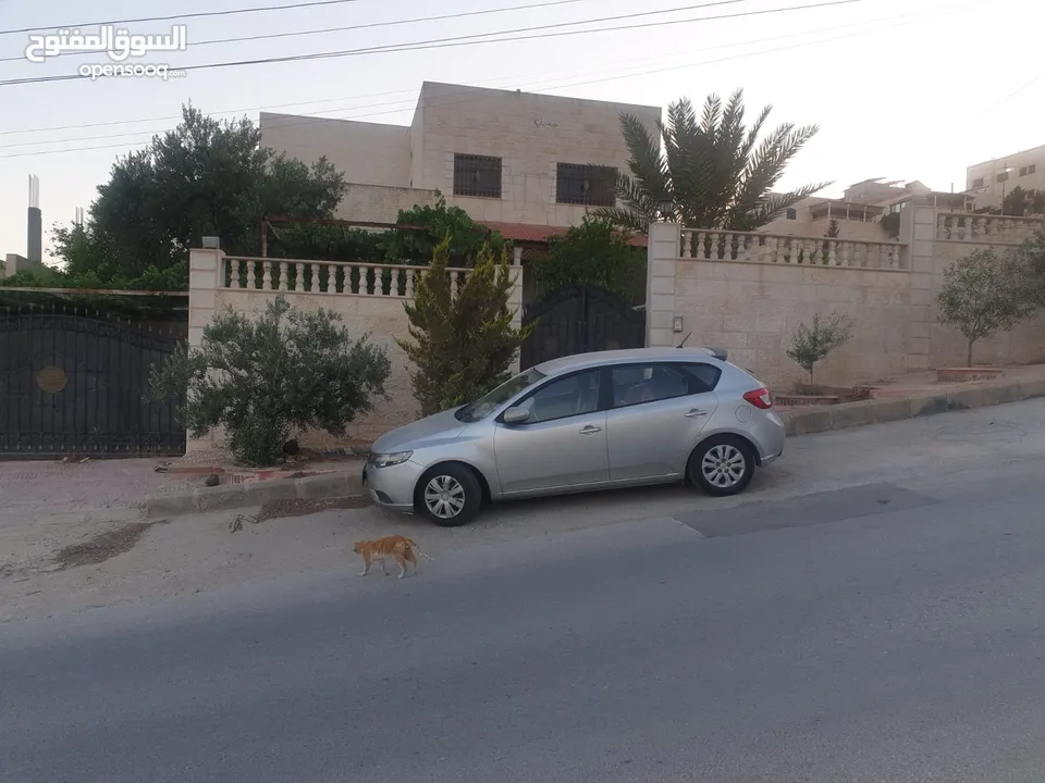 بيت مستقل دوبلكس للبيع الزرقاء ضاحية المدينة المنورة