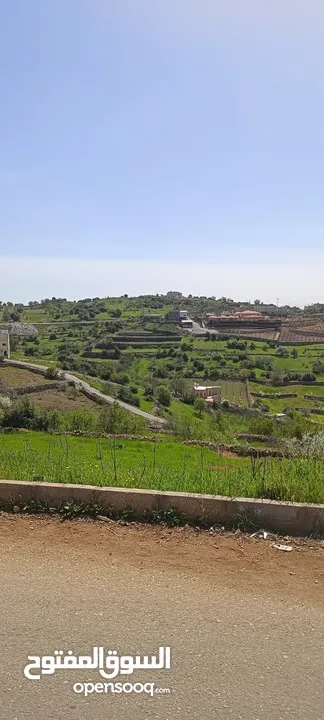 مزرعه مع بيت راقيه راس منيف موقع مميز مطله و بسعر مغري جدا