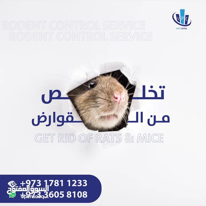 IPC Is Providing 24/7 Pest Control Service in Bahrain - Contact Now!