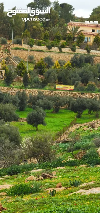 فرصة مغرية جدا لشراء ارض 4013 متر مربع للبيع بسعر مغري جدا في اجمل مناطق جرش واقربها لعمان