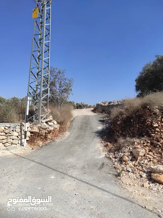 ارض للبيع بعملة الشيكل فى عصيرة الشمالية