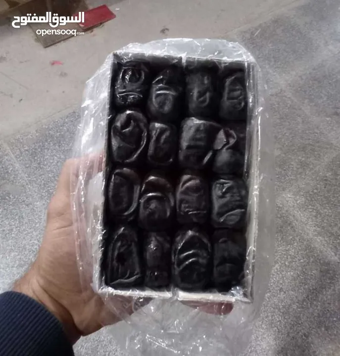 بلح _خرمای مضافتی بم