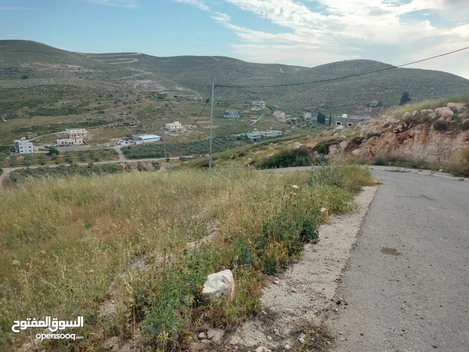نمر للبيع بمساحات متعدده