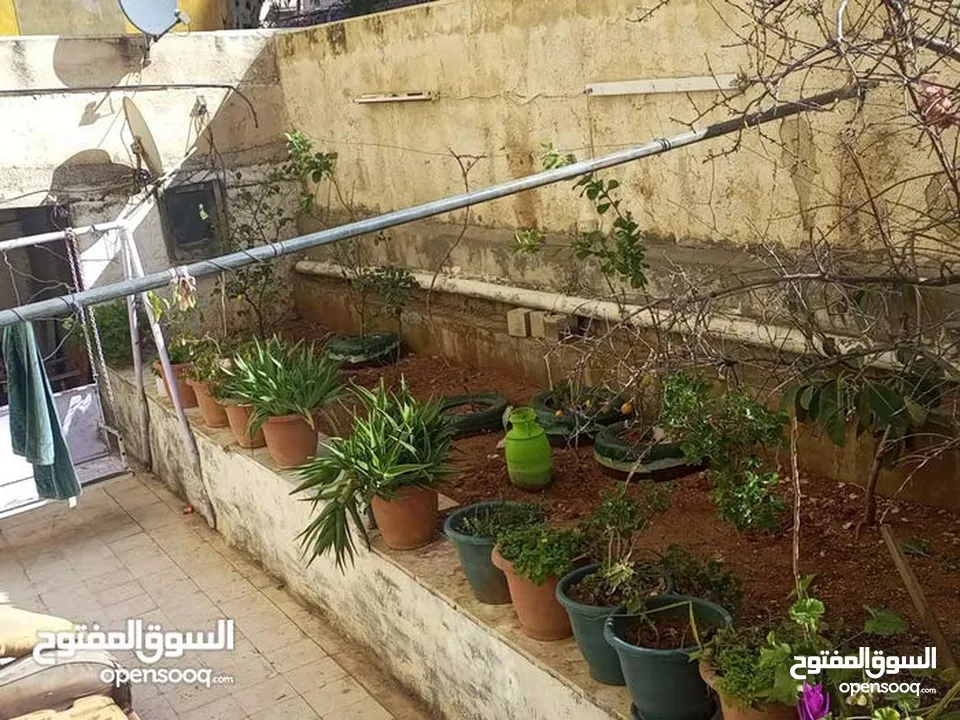 شقه للبيع للبيع جبل النزهه