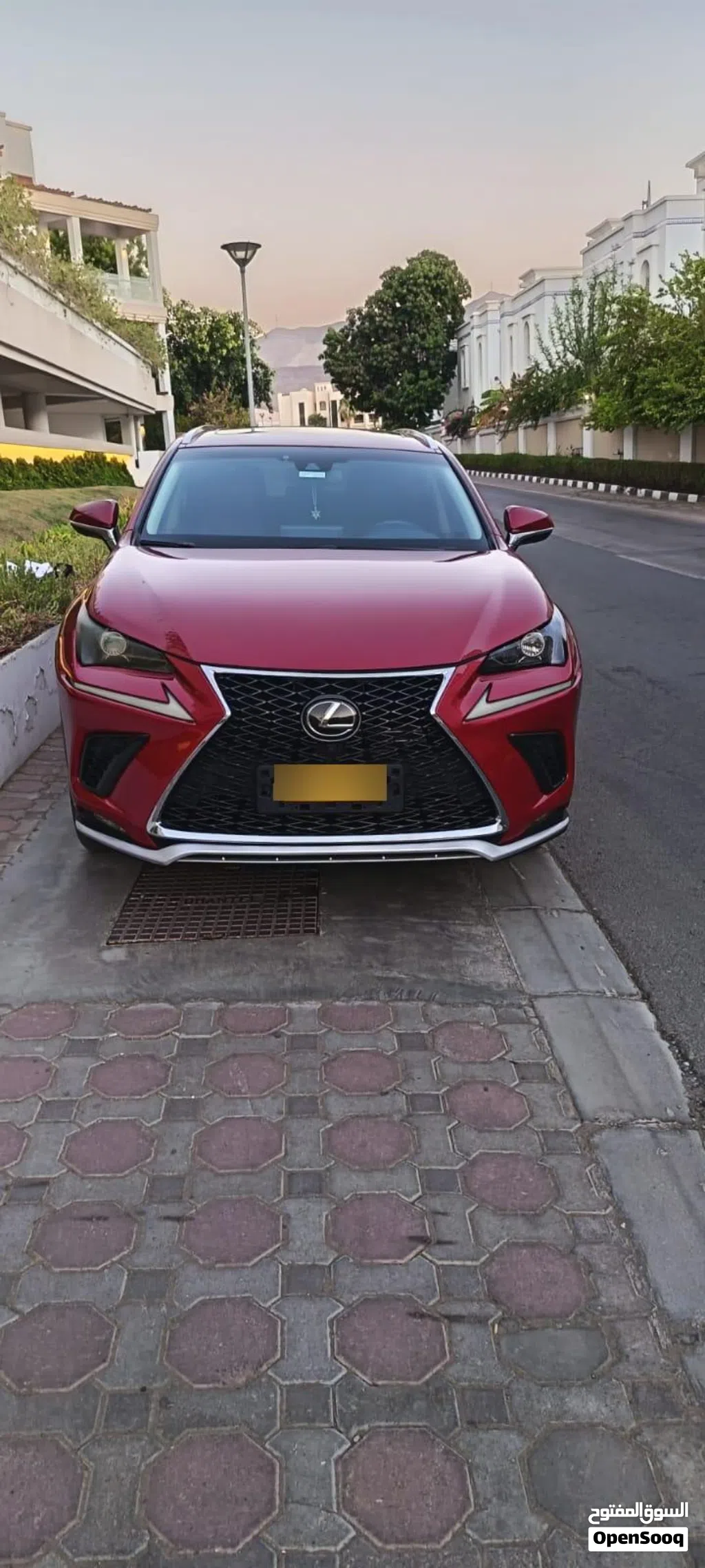 Lexus NX NX 300