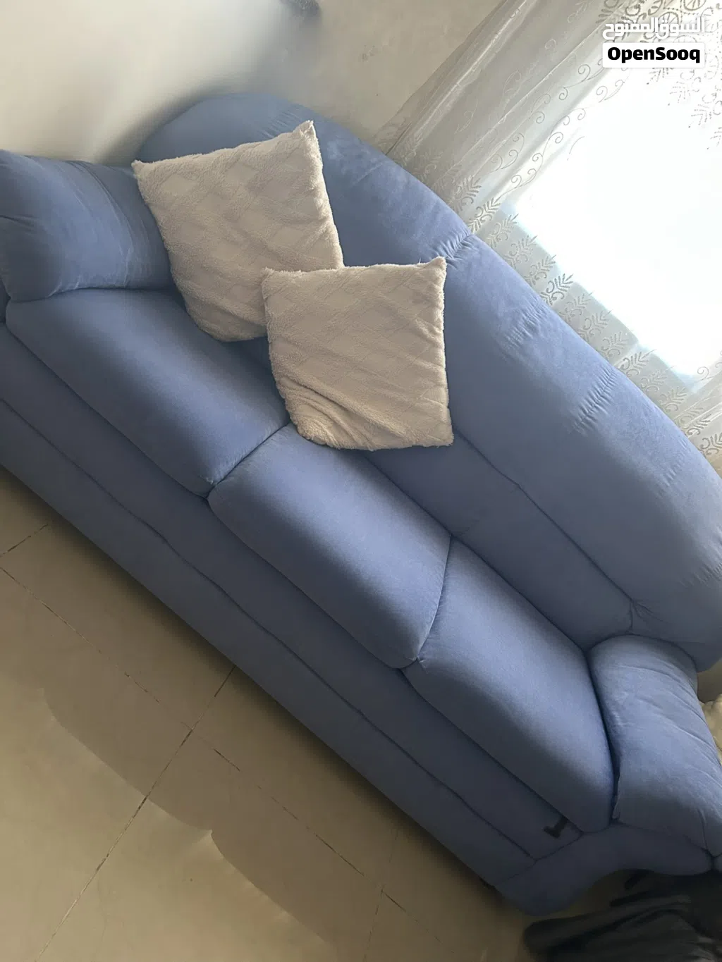 كنب امريكي دب