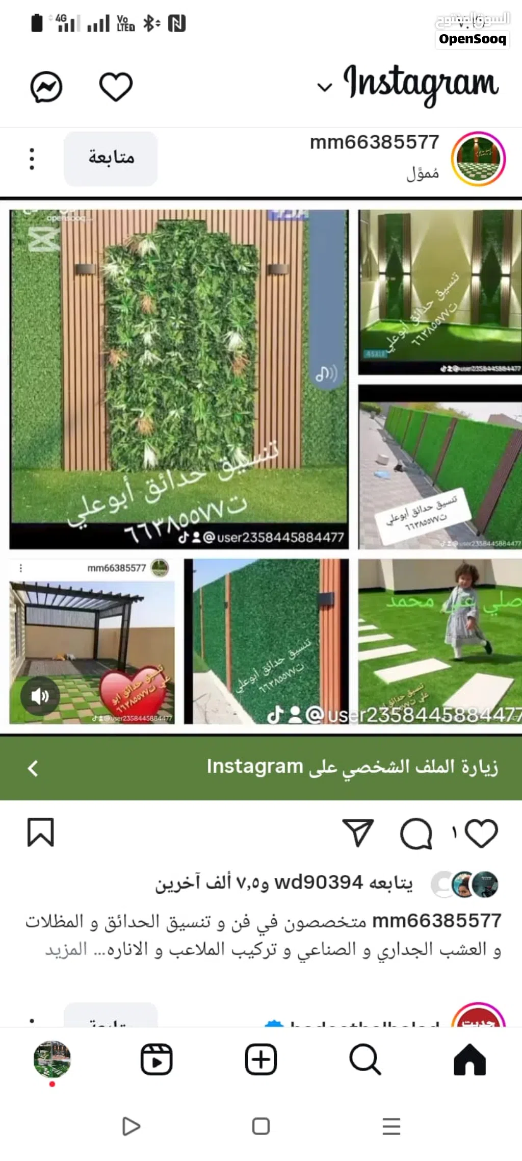 تنسيق حدائق