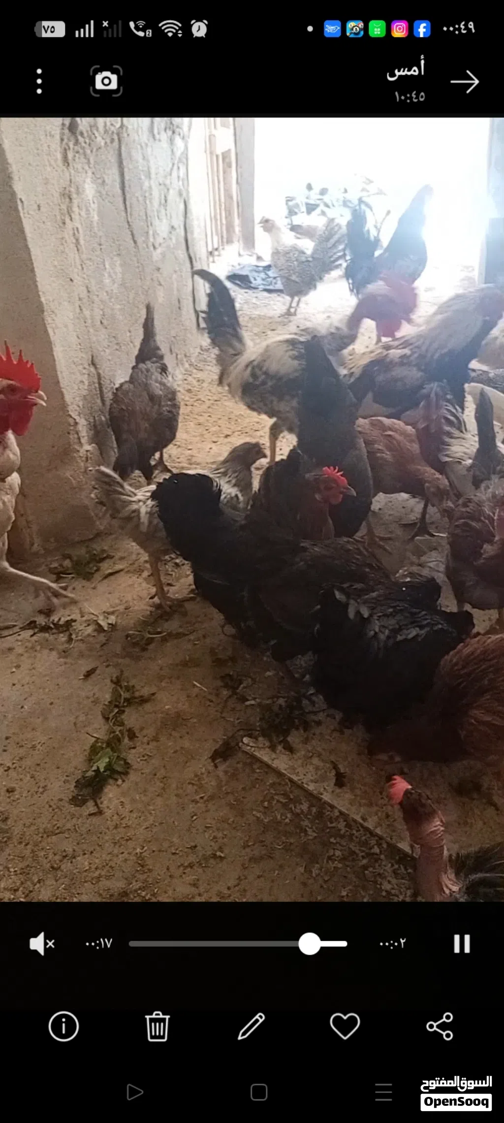 عرب للبيع نظيف ومال بيت
