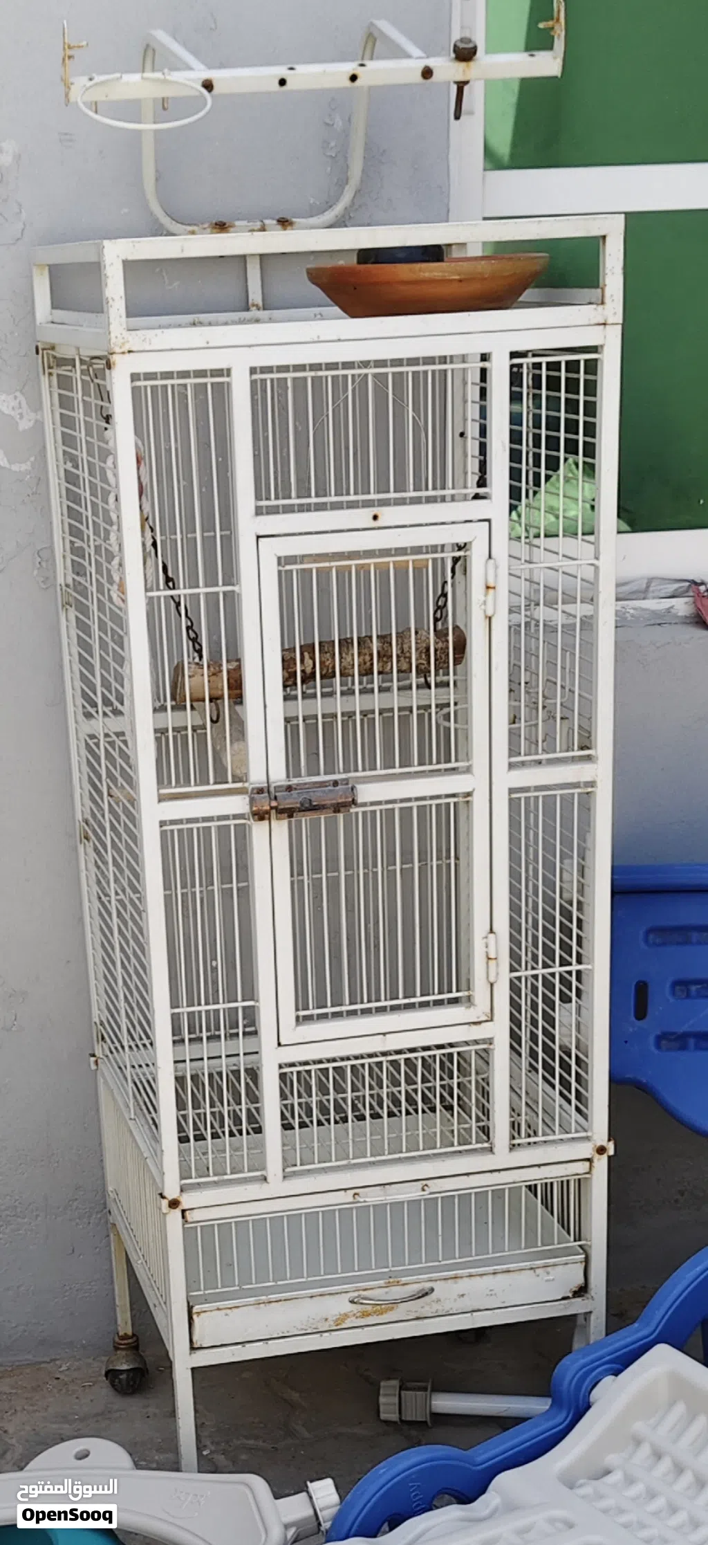 Birds cage