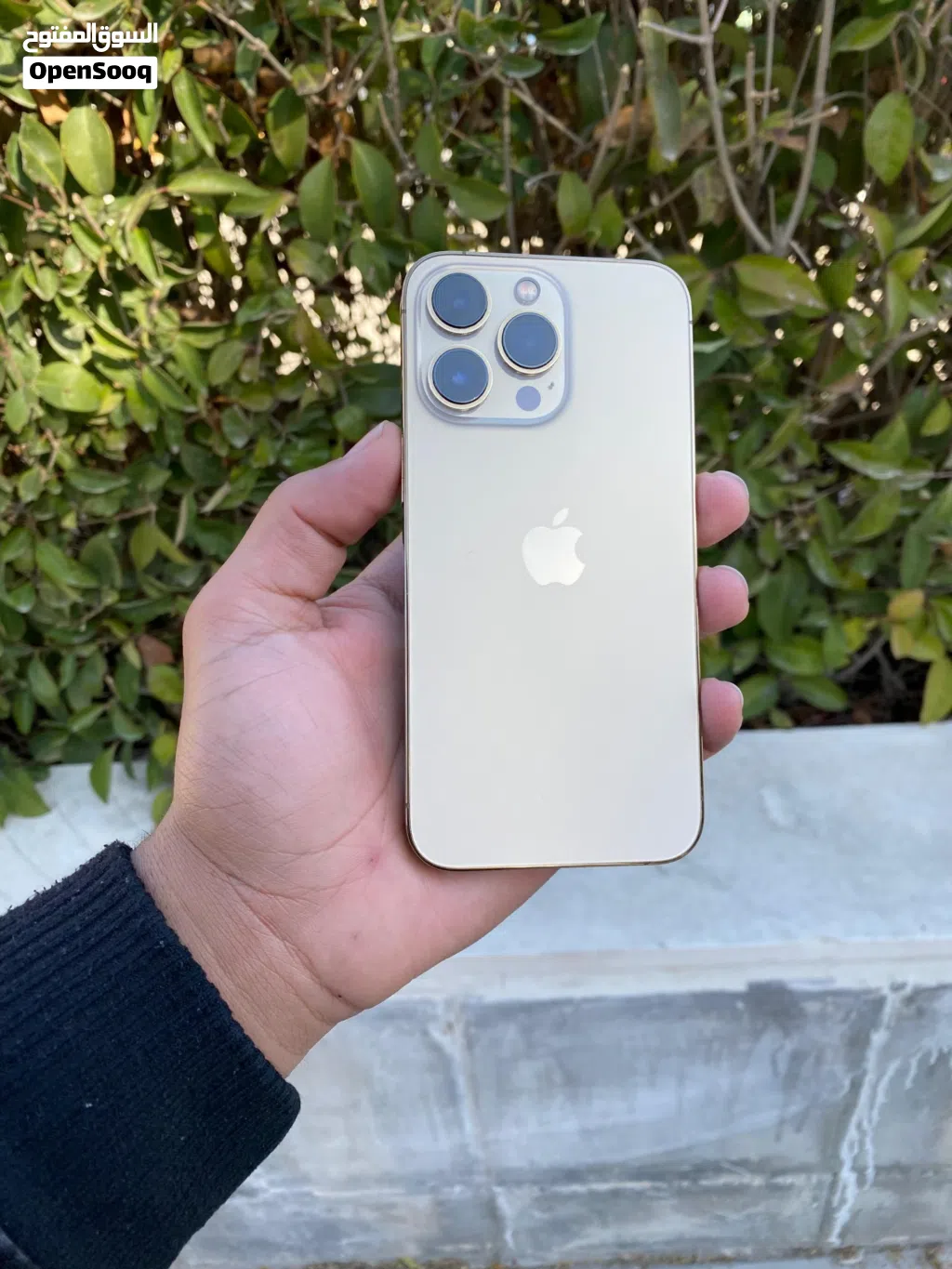 ايفون 13 pro