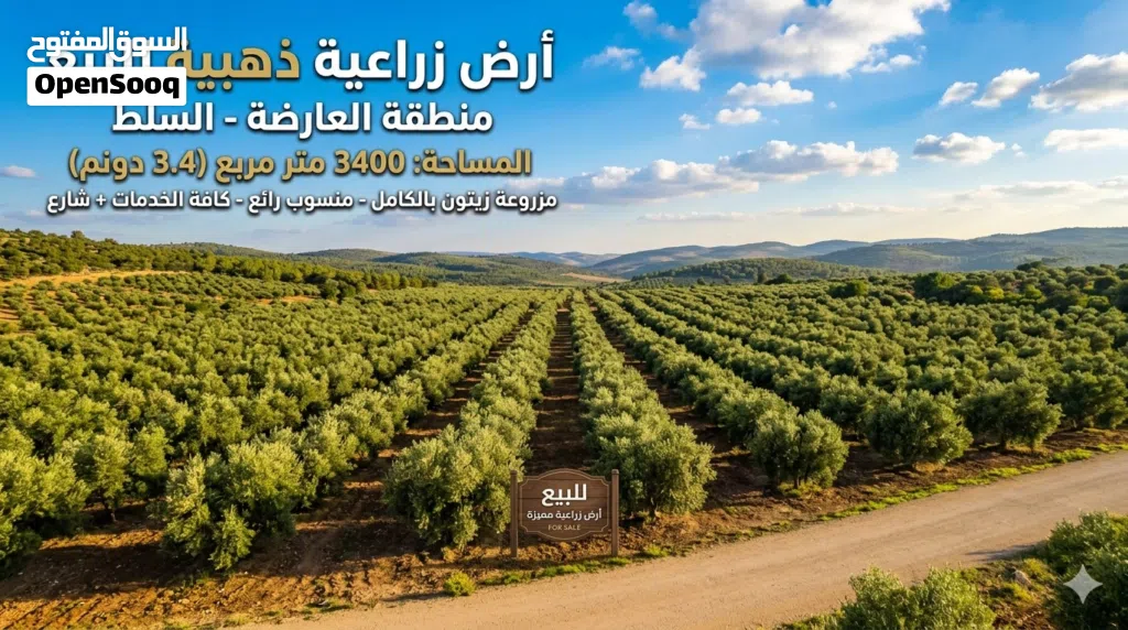 أرض زراعية ذهبية للبيع – العارضة - سيحان - واجهة 30 متر رئيسي كافة الخدمات