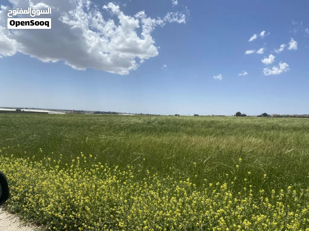 أرض للبيع في عمّان الجنوبية طريق المطار بالقرب من كينغز أكاديمي