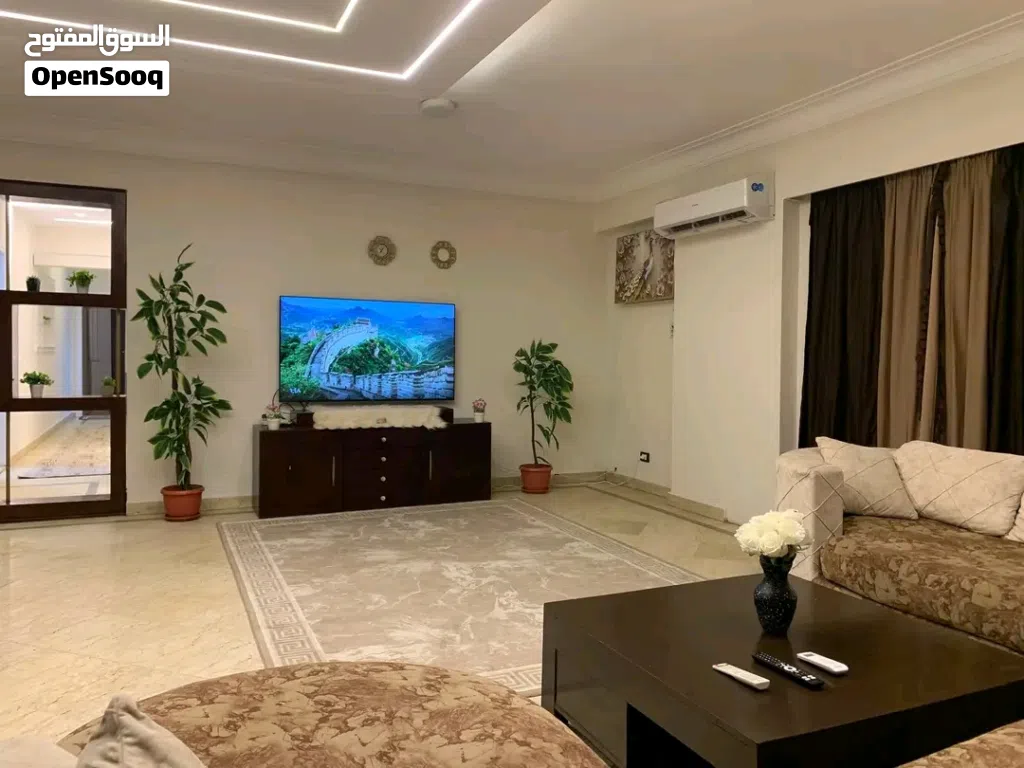 شقه مفروشه للايجار تانى نمره من محى الدين ابو العز الرئيسي الدقى