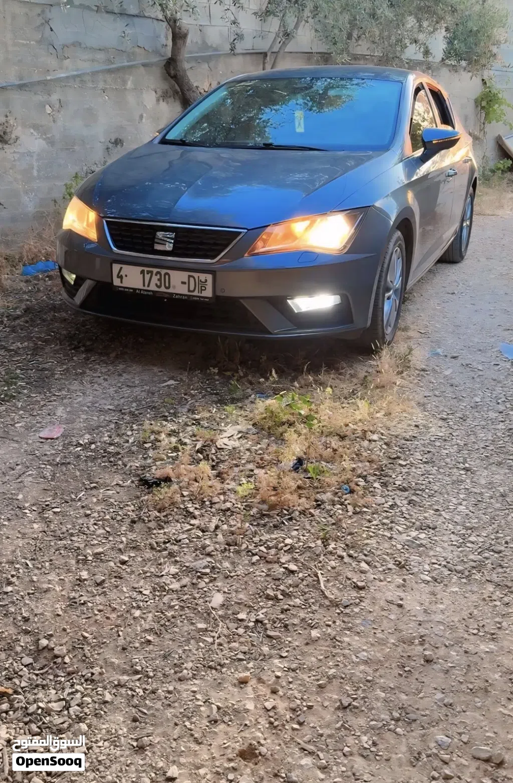 سيات ليون Standard