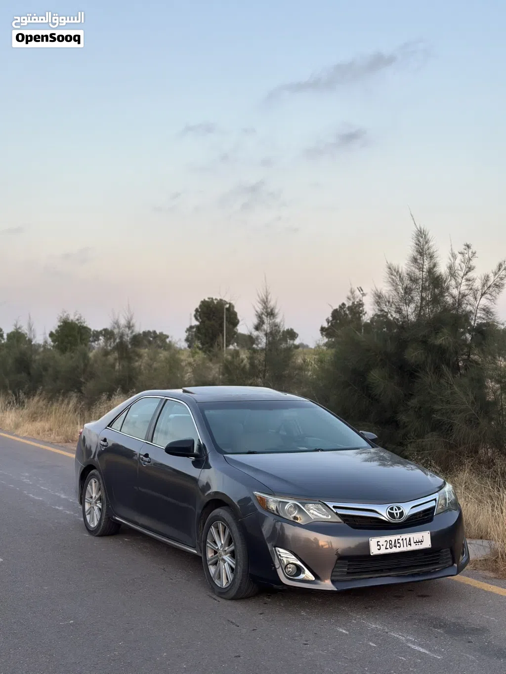 Toyota Camry XLE