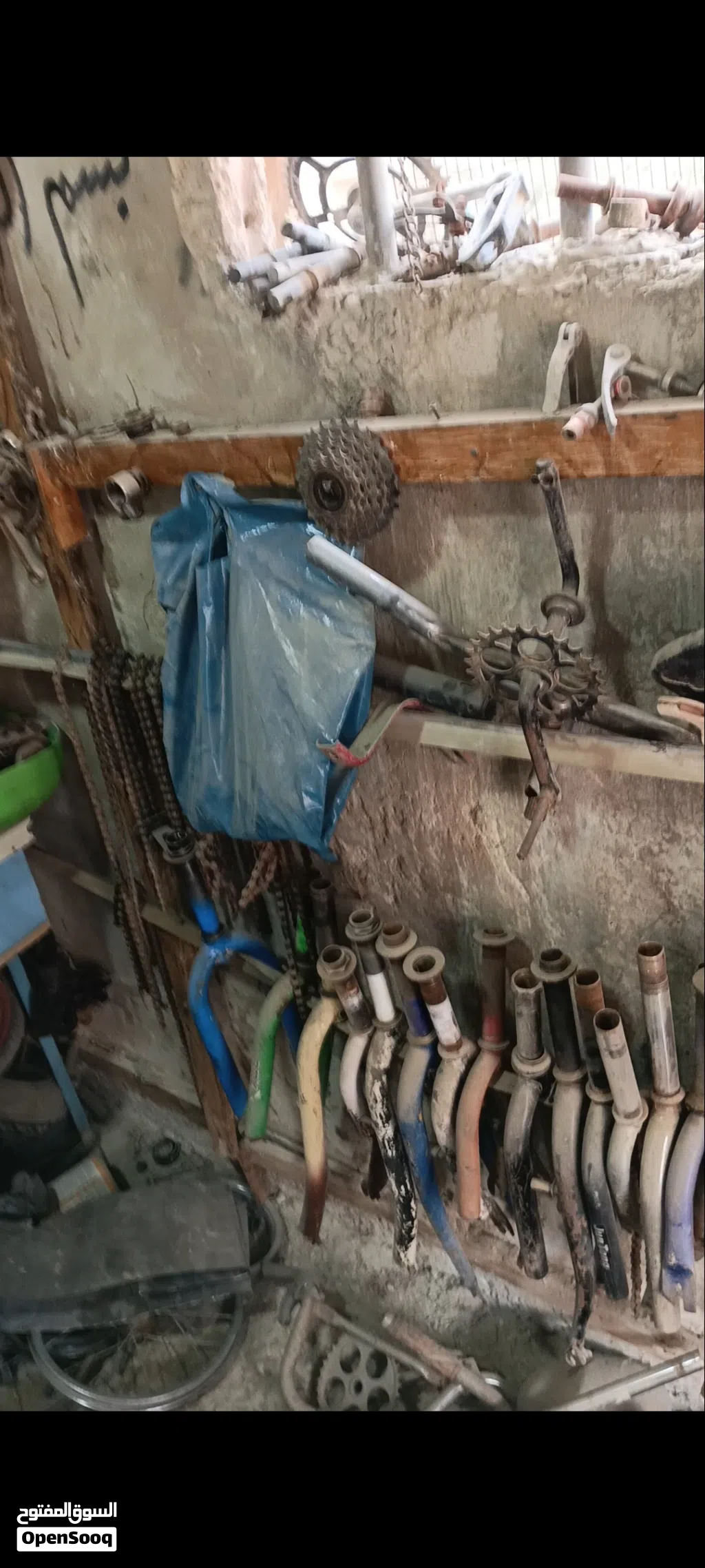 أي شوكه بدينار واحد