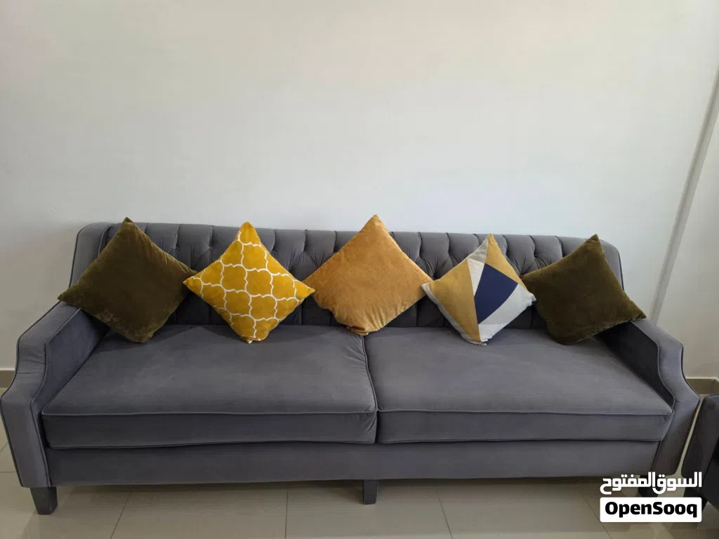 Grey Velvet Sofa Set
