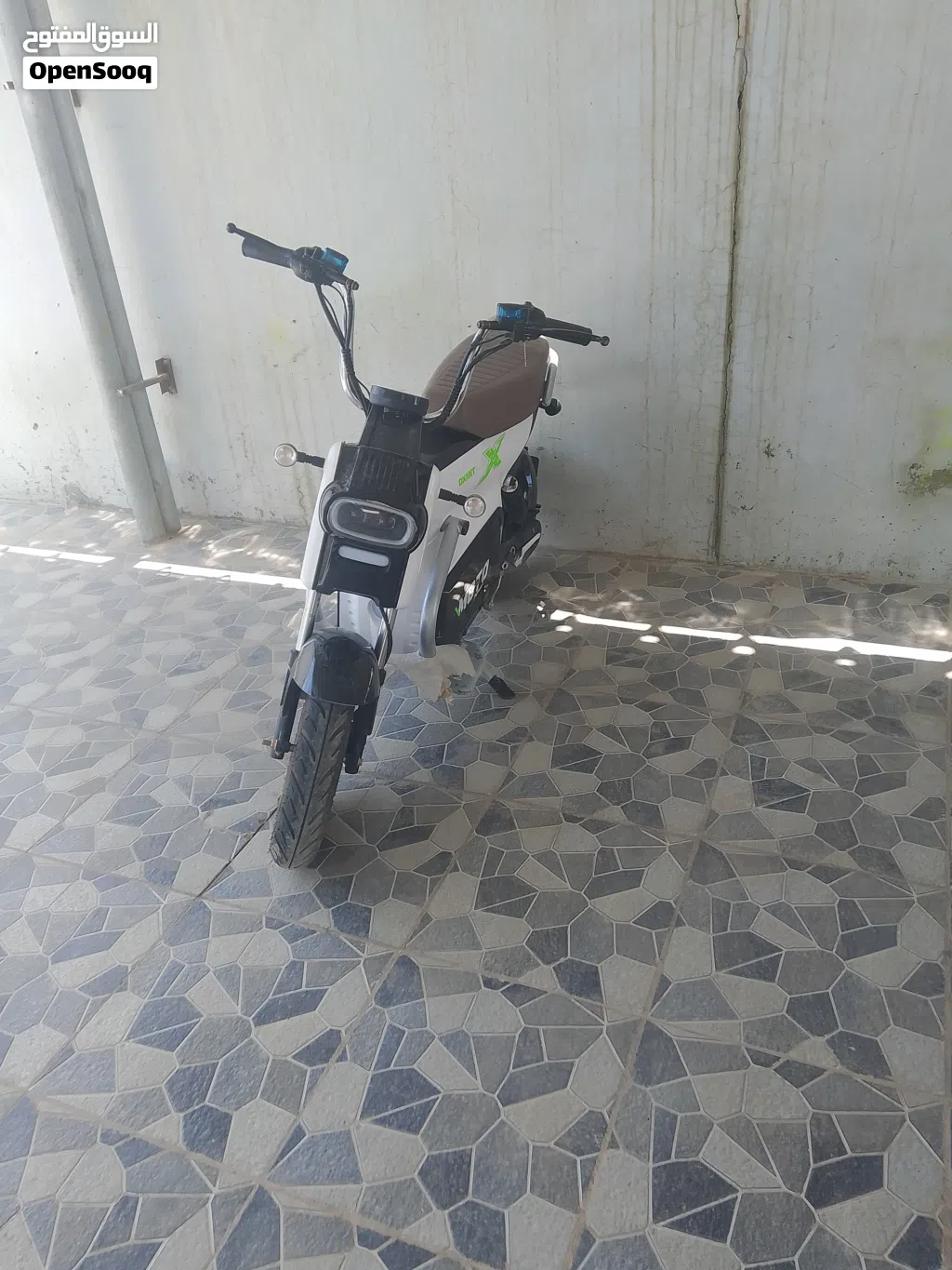 مسعود الغافري