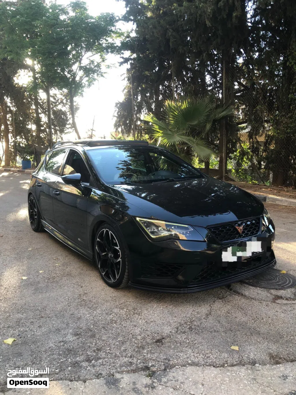 سيات ليون Style