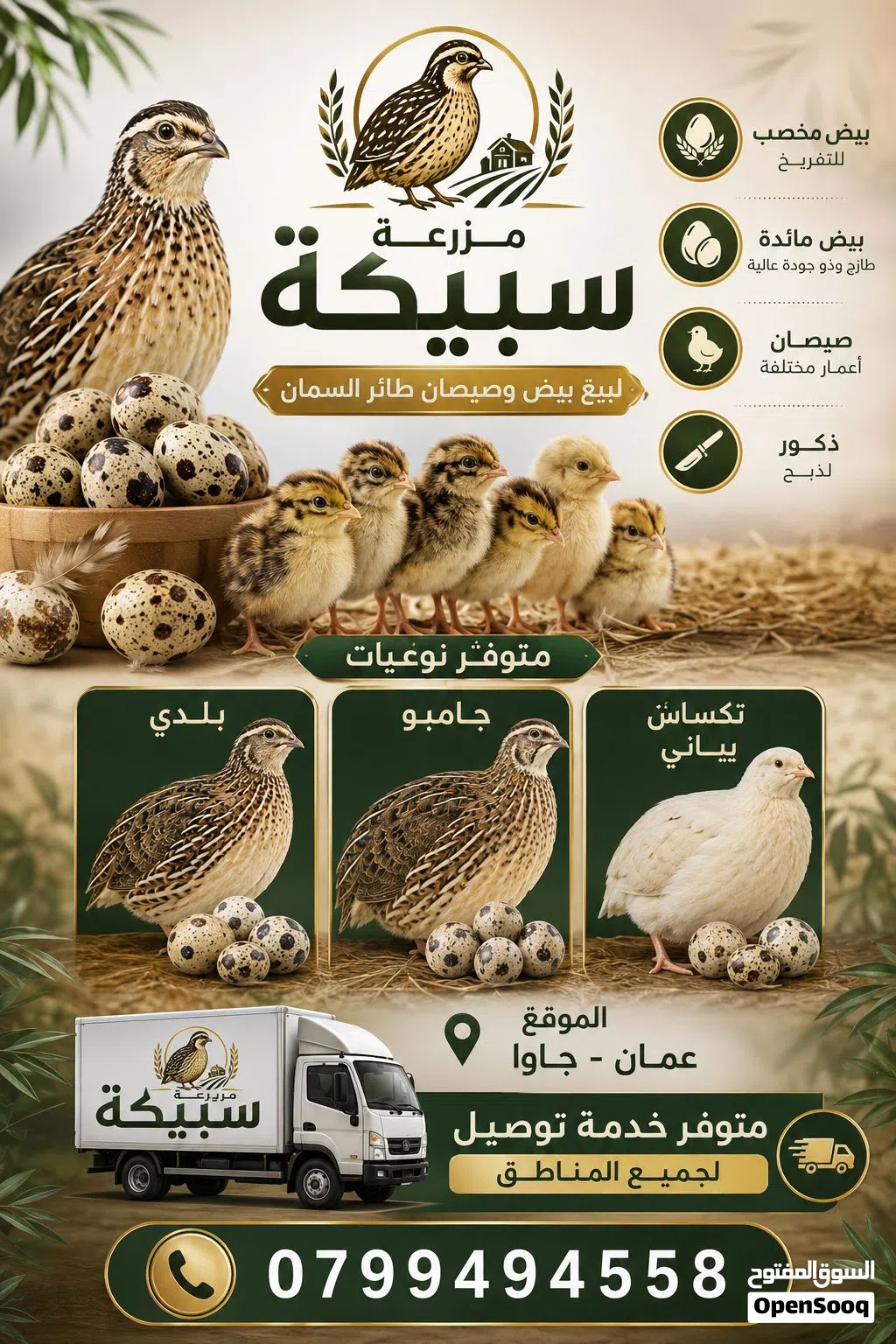 بيع صيصان سمان جامبو وياباني وتاكساس + بيض مخصب وبيض مائدة مزرعة سبيكة