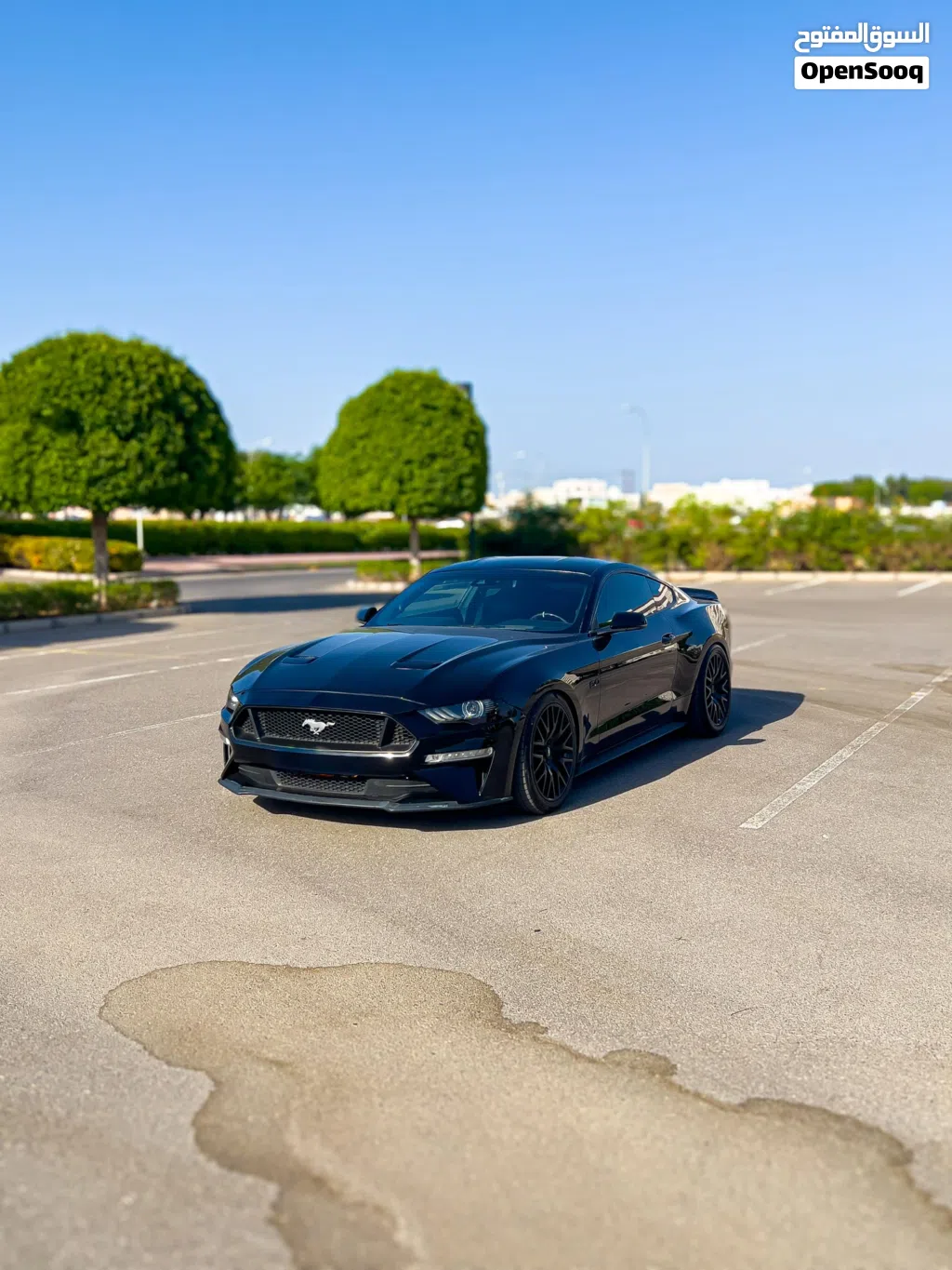 فورد GT