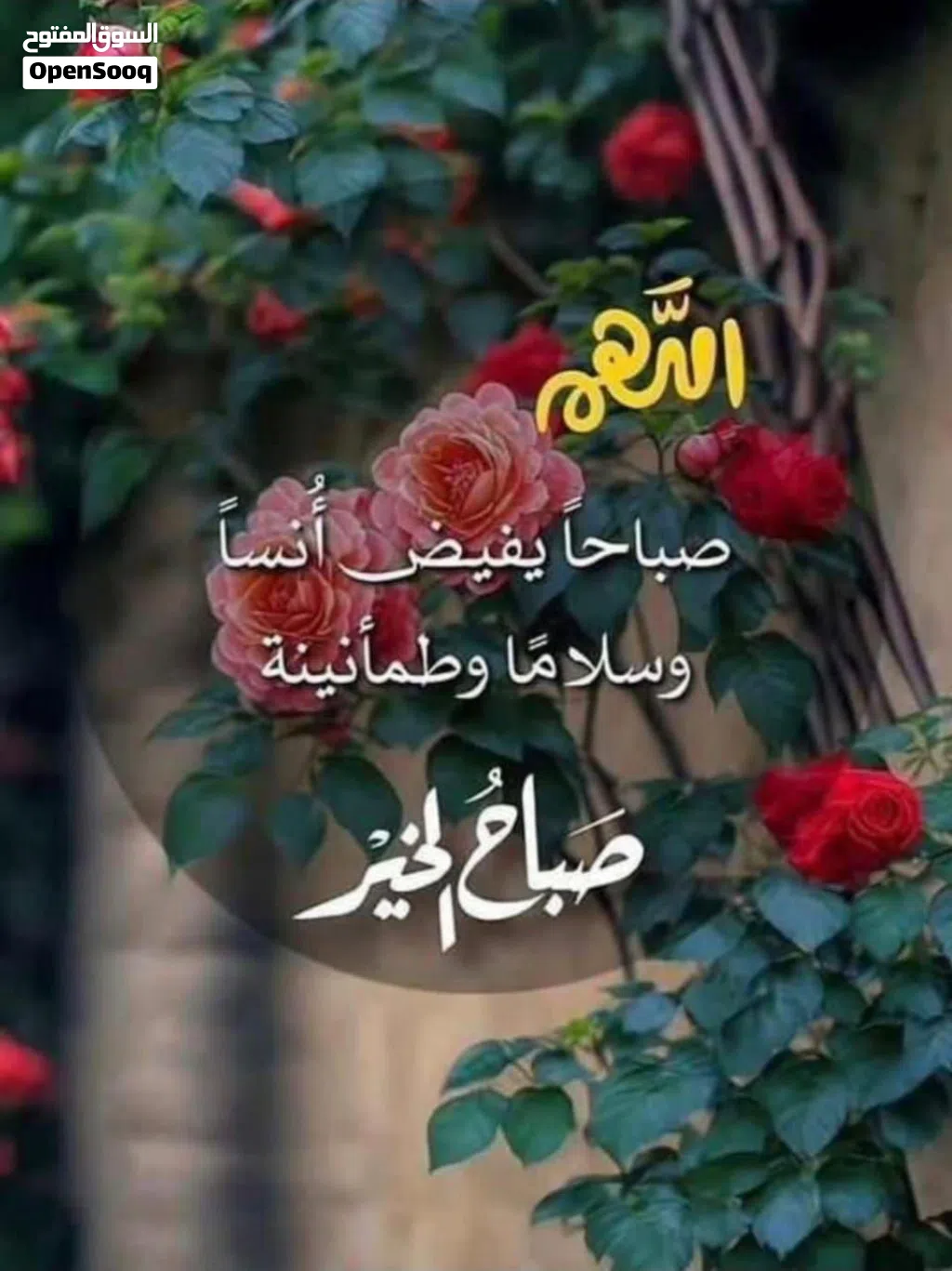 سلام عليكم محتاجه شقل نشر إنه بالبيت