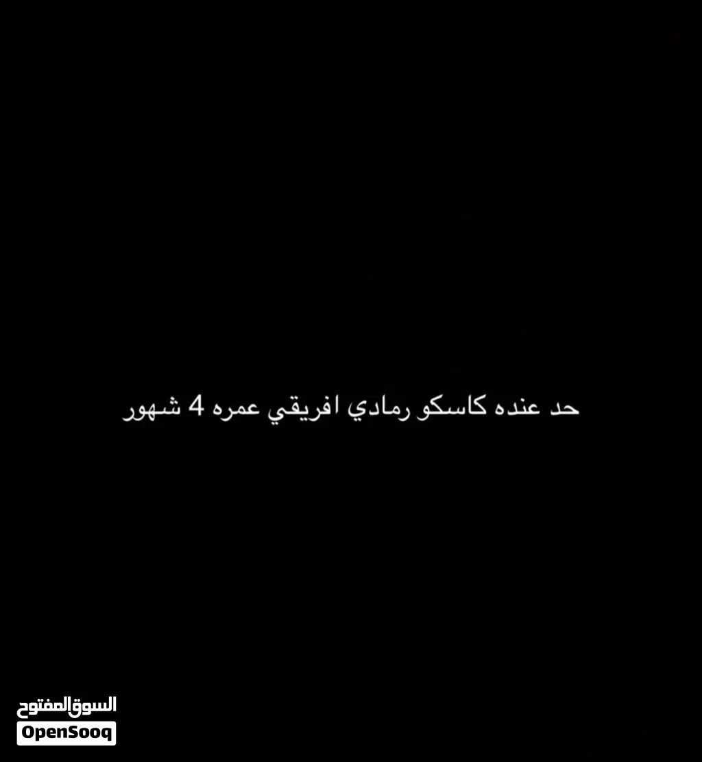 حد عنده كاسكو رمادي أفريقي عمره 4 شهور