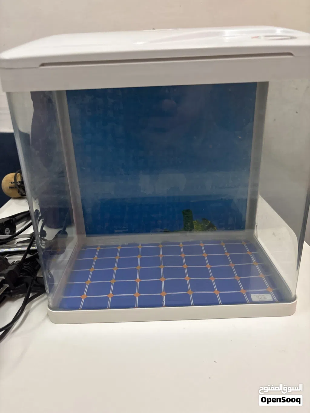 Fish tanks
