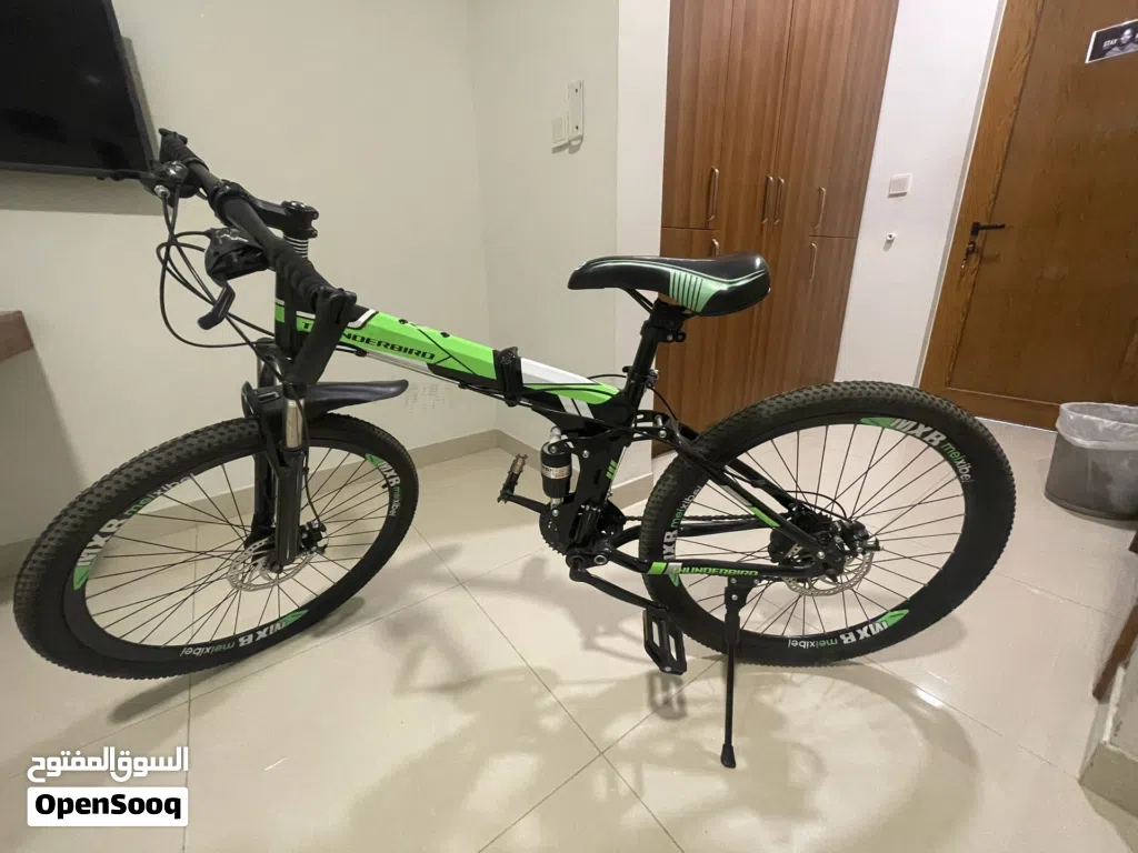 Bicycle Thunderbird-R