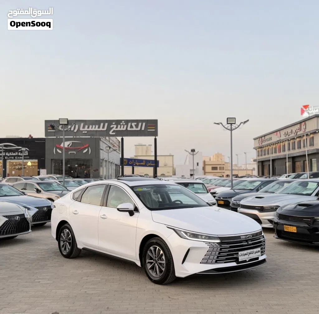 BYD Destroyer 05