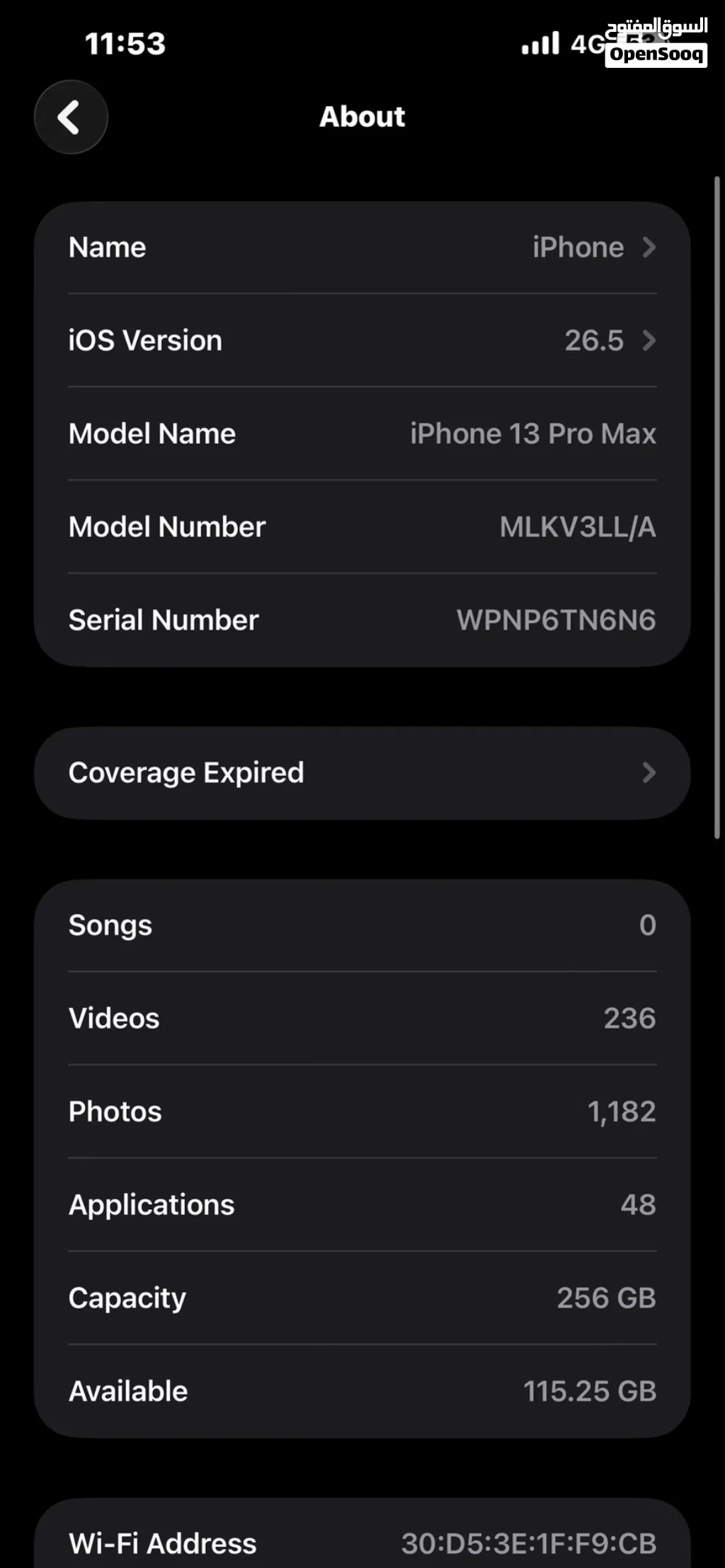 13 pro max