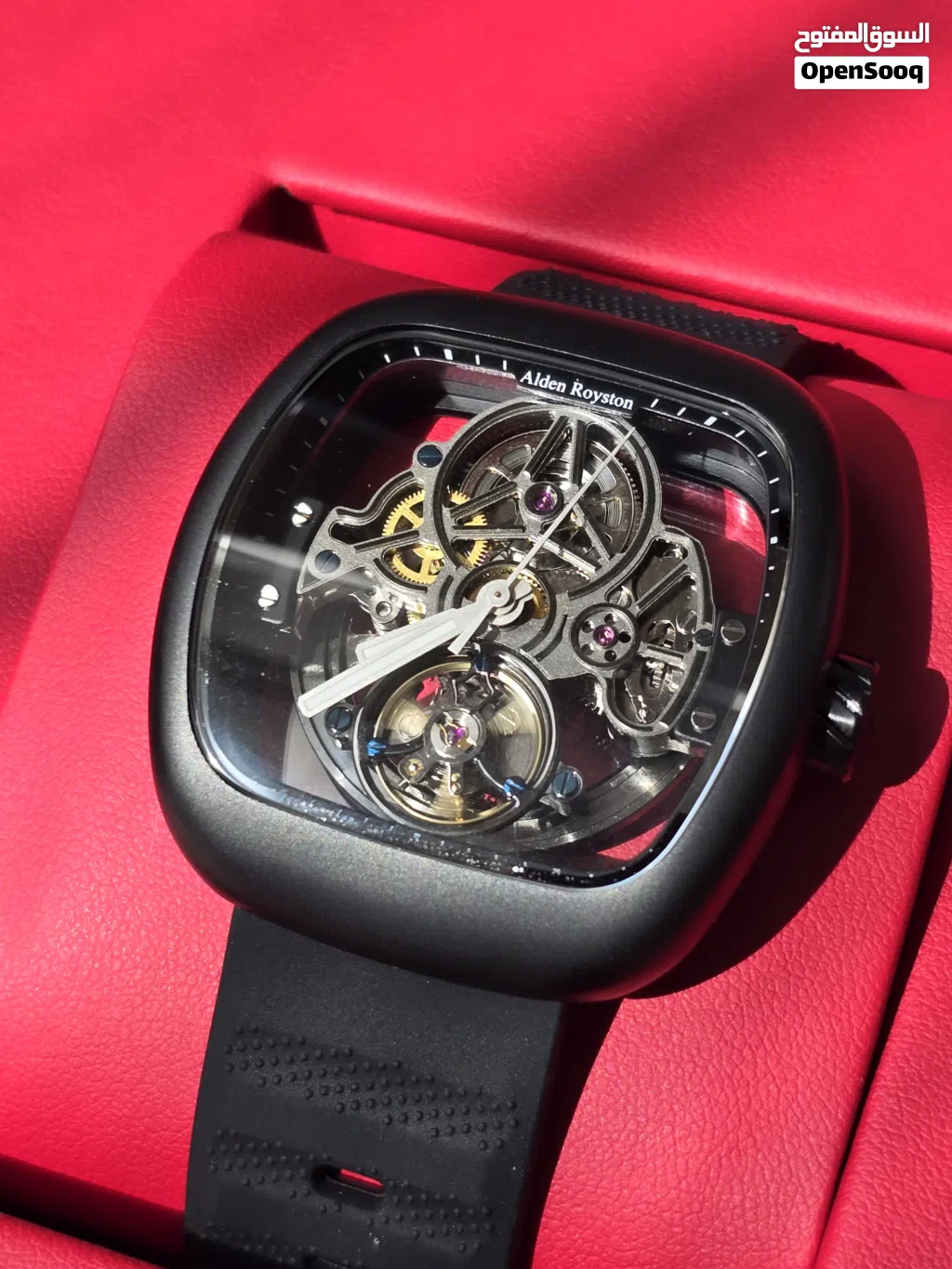 Alden Royston mechanical Watch Model:AR8375