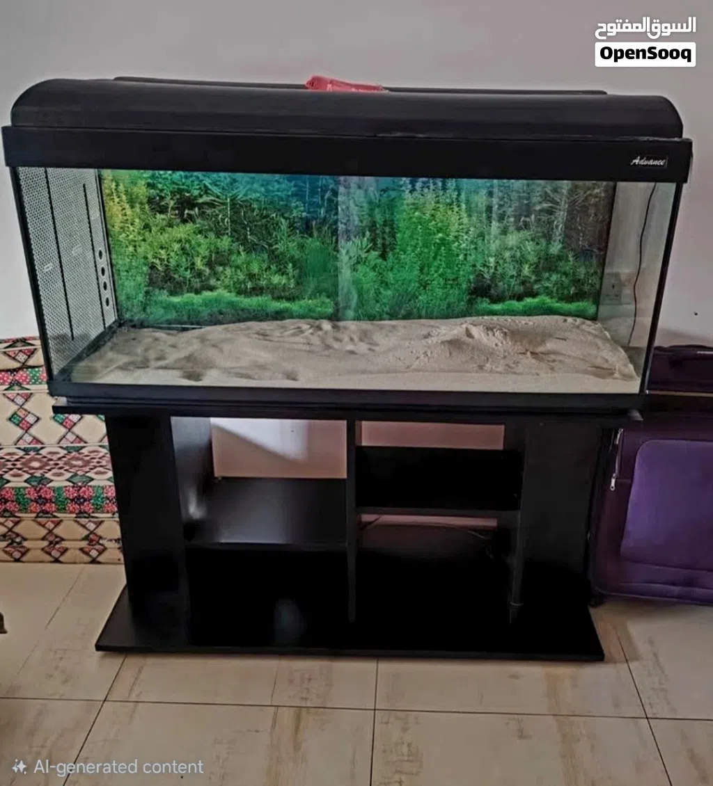 fish Aquarium